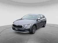 Gebraucht Skoda Octavia Scout 4x4 200 PS (147 kW) 2023 Graphitegrau metallic Kombi