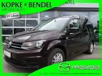Gebraucht VW Caddy Trendline 102 PS (75 kW) 2019 Violet Van / Kleinbus