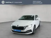 Gebraucht Skoda Octavia 150 PS (110 kW) 2023 Candyweiß uni Kombi