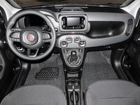 Gebraucht Fiat Panda 69 PS (50 kW) 2025 Weiß Kleinwagen
