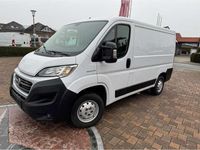 Gebraucht Fiat Ducato 116 PS (85 kW) 2019 Weiß Van