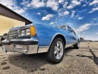 Gebraucht Chevrolet Caprice 158 PS (116 kW) 1980 Blau Kleinwagen