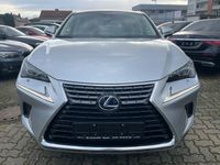 gebraucht Lexus NX300 300h E-FOUR Executive Line Head-Up