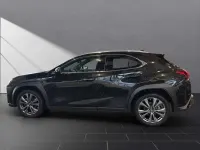 Gebraucht Lexus UX 250h Sport Design Packet 184 PS (135 kW) 2024 Graphite black SUV