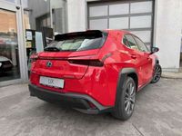 gebraucht Lexus UX 250h UX250h Executive Line * Anhängerkupplung * Leder *