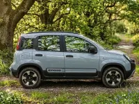 Gebraucht Fiat Panda Cross Cross 69 PS (50 kW) 2019 Grau Kleinwagen