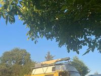 Usado VW LT 1979 Amarelo Van