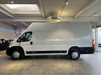 Gebraucht Opel Movano 165 PS (121 kW) 2023 Weiß Van / Kleinbus