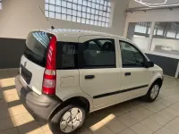 Gebraucht Fiat Panda Active 54 PS (39 kW) 2009 Weiß Kleinwagen