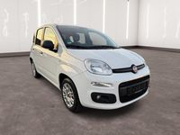 Gebraucht Fiat Panda Easy 69 PS (50 kW) 2020 Weiß Kleinwagen