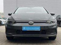 gebraucht VW Golf VIII 1.5 TSI Active PDC Klima LED Navi Sitzhzg Standhzg