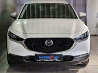 Gebraucht Mazda CX-30 Selection 186 PS (136 kW) 2021 Weiß SUV
