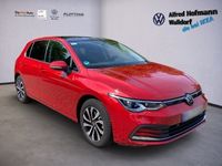 gebraucht VW Golf VIII 1.0 TSI Active AHK NAVI PANORAMA LED K