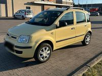 Gebraucht Fiat Panda 77 PS (56 kW) 2009 Gelb Kleinwagen