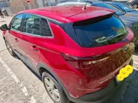 Gebraucht Opel Grandland X Business 131 PS (96 kW) 2020 Rot SUV