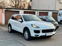 Gebraucht Porsche Cayenne 262 PS (192 kW) 2015 Weiß SUV