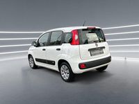 Gebraucht Fiat Panda Pop 69 PS (50 kW) 2015 Weiß Kleinwagen