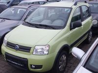 Gebraucht Fiat Panda 4x4 Climbing 60 PS (44 kW) 2006 Grün Kleinwagen