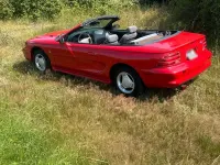 Gebraucht Ford Mustang 144 PS (105 kW) 1996 Rot Cabrio