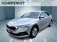 Gebraucht Skoda Octavia Ambition 116 PS (85 kW) 2023 Brilliantsilber metallic Limousine