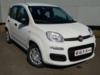 Neu Fiat Panda Pop 70 PS (51 kW) 2025 Weiß Kleinwagen