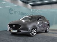 Gebraucht Mazda CX-30 Selection 179 PS (131 kW) 2021 Grau SUV