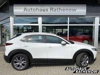Gebraucht Mazda CX-30 Selection 179 PS (131 kW) 2023 Arctic white SUV