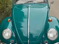 Gebraucht VW Käfer 34 PS (25 kW) 1965 Grün Kleinwagen