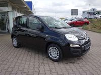 Gebraucht Fiat Panda 69 PS (50 kW) 2025 Cinema schwarz Kleinwagen