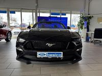 Gebraucht Ford Mustang 450 PS (330 kW) 2023 Oil slick bluepurple (violett) Cabrio
