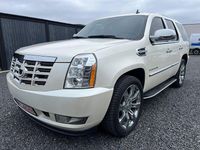 Gebraucht Cadillac Escalade 337 PS (247 kW) 2010 Weiß SUV
