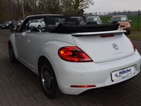 Gebraucht VW Beetle Cabriolet Design 160 PS (117 kW) 2014 Weiß Cabrio
