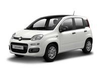 Gebraucht Fiat Panda 70 PS (51 kW) 2024 Kleinwagen