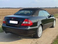 Gebraucht Mercedes CLK280 231 PS (169 kW) 2007 Schwarz Cabrio