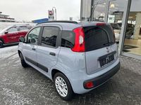 Gebraucht Fiat Panda Easy 69 PS (50 kW) 2019 Colore esterno (************** Kleinwagen