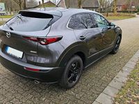 gebraucht Mazda CX-30 2.0 SKYACTIV-G M-Hybrid 150PS