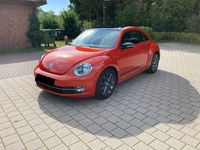 gebraucht VW Beetle 2.0 TDI 81kW CLUB, 17 Zoll+Winterreifen