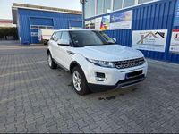 Gebraucht Land Rover Range Rover evoque Dynamic 140 PS (102 kW) 2013 Weiß SUV