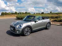 Gebraucht Mini Cooper Cabriolet Chili 136 PS (100 kW) 2019 Beige Cabrio