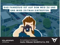 Gebraucht Cupra Terramar 150 PS (110 kW) 2025 Timanfayagrau SUV