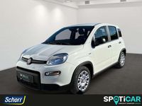 Gebraucht Fiat Panda 69 PS (50 kW) 2024 Gelato weiss Kleinwagen