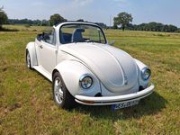 Gebraucht VW Käfer 44 PS (32 kW) 1971 Weiß Cabrio