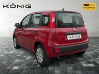 Gebraucht Fiat Panda 69 PS (50 kW) 2025 Rot Kleinwagen