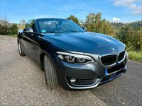 Gebraucht BMW 220 Advantage 184 PS (135 kW) 2018 Grau Cabrio