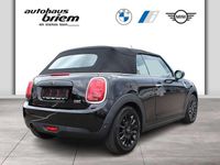 Gebraucht Mini One Cabriolet Chili 102 PS (75 kW) 2020 Schwarz Cabrio