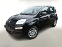Neu Fiat Panda Icon 65 PS (47 kW) 2026 Cinema schwarz Kleinwagen