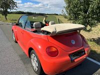 gebraucht VW Beetle Käfer Cabrio Rot Benziner Bj 2005 Cabriolet Schalter