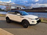 Gebraucht Land Rover Range Rover evoque Dynamic 150 PS (110 kW) 2013 Weiß SUV