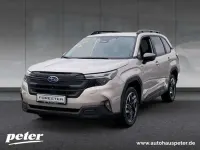 Gebraucht Subaru Forester Active 136 PS (100 kW) 2026 Cashmere gold opal SUV