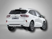 Neu Ford Kuga ST-Line 185 PS (136 kW) 2025 Frozen white SUV